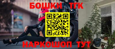 шишки Изобильный