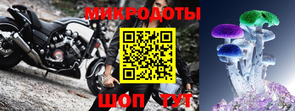 Галлюциногенные грибы ЛСД Михайловка
